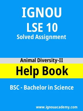 LSE 10 Solved Assignment