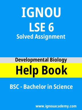 LSE 6 Solved Assignment