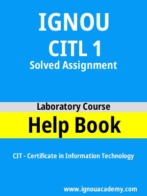 CITL 1 Solved Assignment
