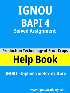 BAPI 4 Solved Assignment